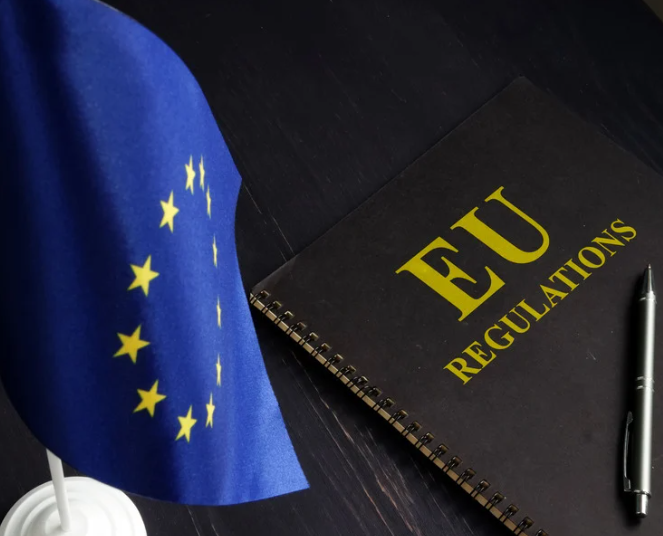 Recent EC guidelines on the AI-ACT